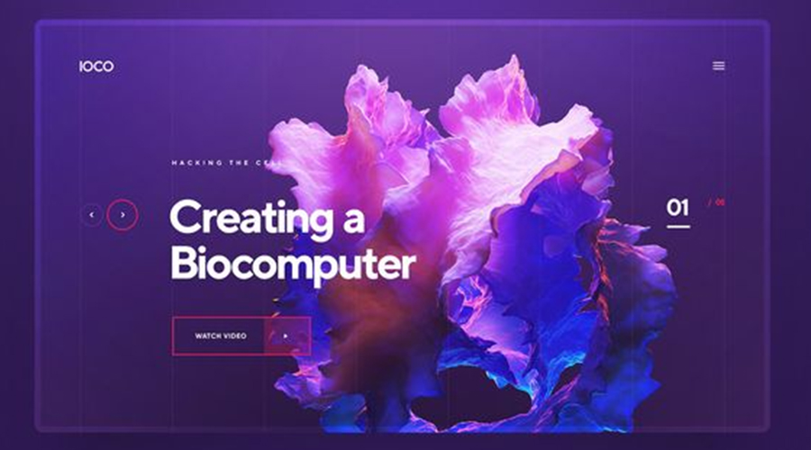 https://demo.preview.editandprint.com/images/products_gallery_images/portfolio431.jpg